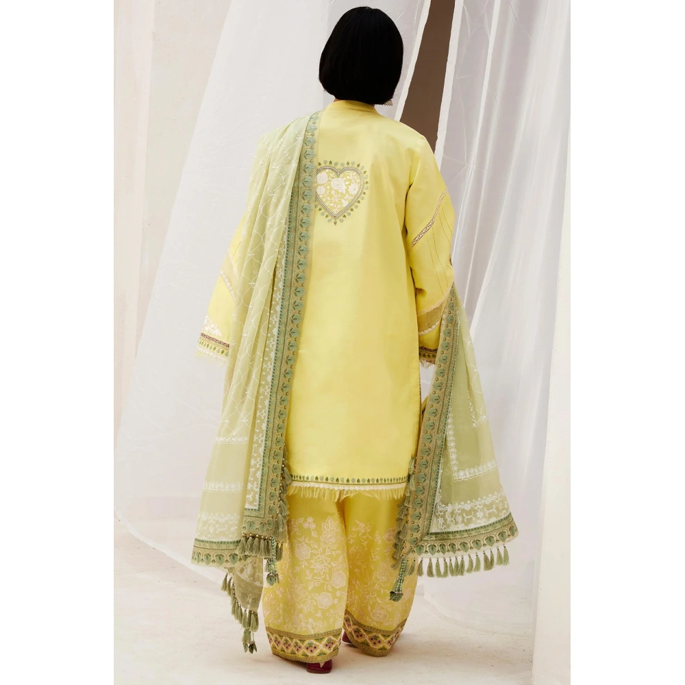 zara shahjahan, 3 piece suit, unstitched, lawn, dilara 15a , back