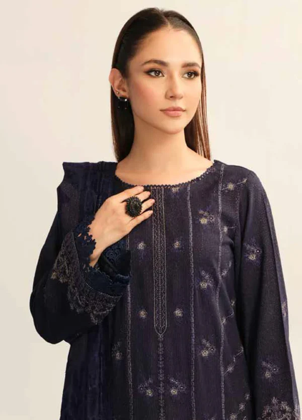 Riaz Arts Pakistani designer dress with elegant embroidery and fine fabric