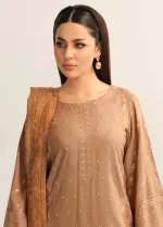 RIAZ ARTS, 3 piece suit, unstitched, TL 325, front look