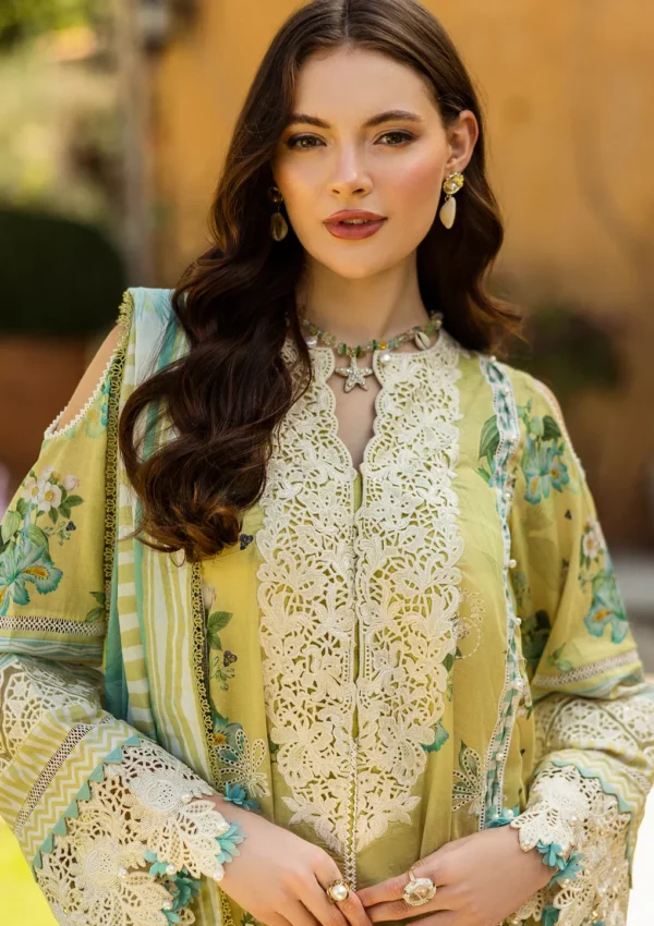 Elaf Pakistani designer dress in embroidered organza and lawn fabric with modern elegance