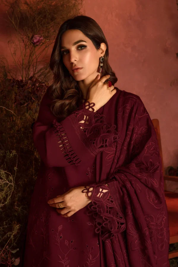 Rang Rasiya Pakistani designer outfit with intricate embroidery and rich colors