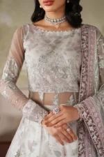 Zarif Zaneera Anairah Embroidered Net Suit with Sequin Detailing