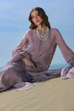 Rang Rasiya Embroidered Lawn Suit 2026 | PARISA - Unstitched 3-piece lawn suit with dyed cotton net & organza embroidery, shirt neck design closeup