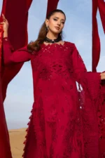 Rang Rasiya Embroidered Lawn Suit 2026 | RAMEEN with embroidered lawn panels, organza neckline, schifli sleeve motifs and textured dupatta, front sgirt style