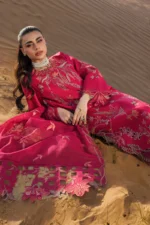 Rang Rasiya Embroidered Lawn Suit 2026 | SAFA with organza cutwork daman, 3D floral embroidered sleeves, textured dupatta and embroidered trouser border, shirt design