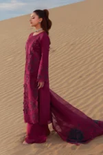 Rang Rasiya Embroidered Lawn Suit 2026 | ZARA — Unstitched premium summer lawn suit featuring detailed embroidery on lawn and organza, including dupatta and trouser, from Rang Rasiya’s 2026 collection, side look