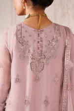 The stunning ALIZEH | AYMAL | Luxury Bamber Chiffon | June-04 unstitched suit. Featuring intricate organza chalk patti design on the front and back, plus delicate sleeve and border embroidery. closeup od back neck