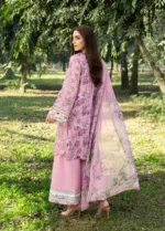 Elaf Premium Chikankari Lawn ERC-3A Man Mayal embroidered lawn suit with chiffon dupatta, backside