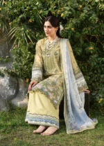 Elaf Premium Chikankari Lawn ERC-8B MENAH 3-piece unstitched lawn suit with chiffon dupatta, front shirt closeup
