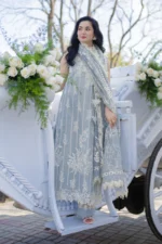 Rang Rasiya Unstitched Eid Outfit 26'-AYLA cotton net embroidered 3 piece Pakistani designer suit with embossed dupatta UK, side look