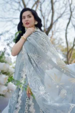 Rang Rasiya Unstitched Eid Outfit 26'-AYLA cotton net embroidered 3 piece Pakistani designer suit with embossed dupatta UK, dupatta closeup