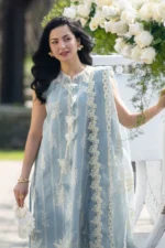 Rang Rasiya Unstitched Eid Outfit 26'-AYLA cotton net embroidered 3 piece Pakistani designer suit with embossed dupatta UK, front shirt embroidery closeup