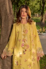 Rang Rasiya Unstitched Eid Outfit 26'-MYSHA embroidered lawn suit 3 piece Pakistani designer dress with textured dupatta UK, front shirt look