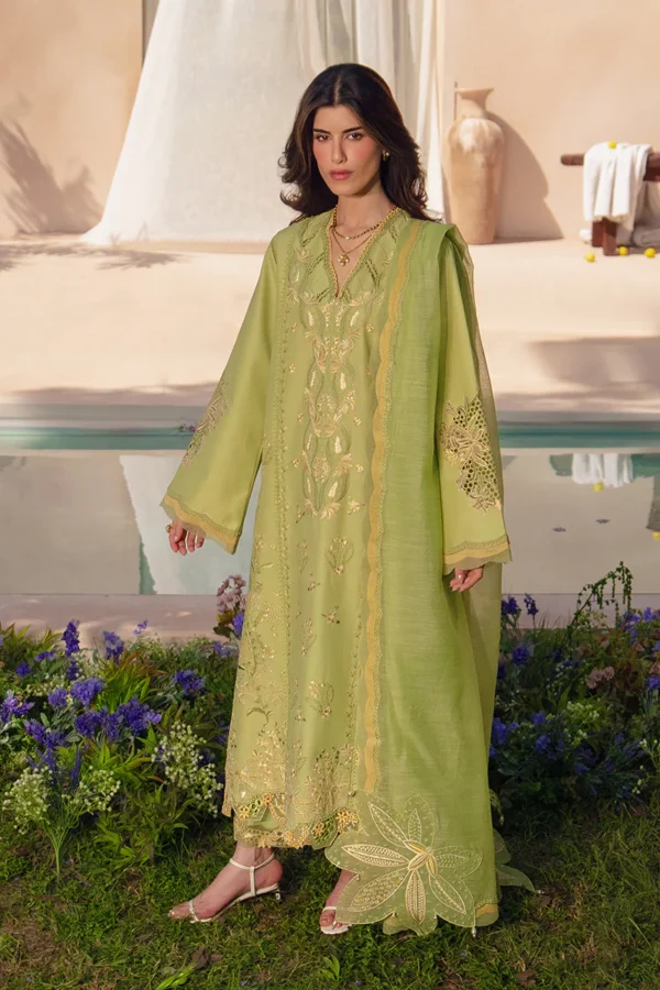 Rang Rasiya Unstitched Eid Outfit 26'-NADINE embroidered lawn suit 3 piece Pakistani designer dress organza motifs textured dupatta UK, full front look