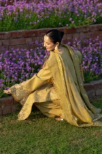 Rang Rasiya Unstitched Eid Outfit 26'-RAHA embroidered lawn suit 3 piece Pakistani designer dress organza border paste print dupatta UK, side look