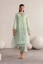 Iznik Embroidered Lawn Suit IBE-06 mint green Pakistani lawn suit with chiffon dupatta and organza embroidery, full front look