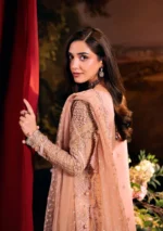 Elaf Bridal 3-PC Unstitched Embroidered Organza Suit EHM-03 VALENTINA, Elaf premium bridal Birmingham uk, sleeves look